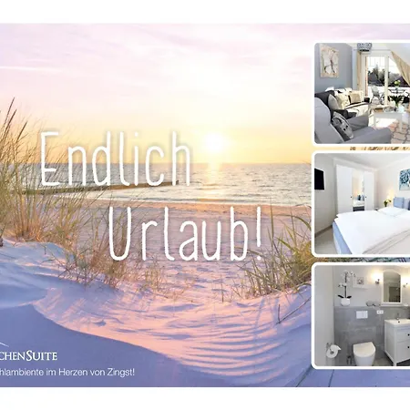 Storchensuite - Zingst